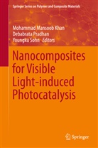 Mohammad Mansoob Khan, Debabrat Pradhan, Debabrata Pradhan, Youngku Sohn - Nanocomposites for Visible Light-induced Photocatalysis