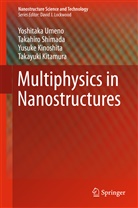 Yusu Kinoshita, Yusuke Kinoshita, Takayuki Kitamura, Takahir Shimada, Takahiro Shimada, Yoshitak Umeno... - Multiphysics in Nanostructures