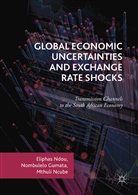 Nombulel Gumata, Nombulelo Gumata, Mthuli Ncube, Elipha Ndou, Eliphas Ndou - Global Economic Uncertainties and Exchange Rate Shocks