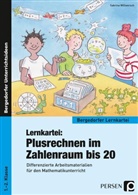 Sabrina Willwersch - Lernkartei: Plusrechnen im Zahlenraum bis 20, m. 1 CD-ROM
