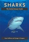 George H Burgess, George H. Burgess, George H. (Director Burgess, Gene Helfman, Gene Burgess Helfman, Gene S. Helfman... - Sharks