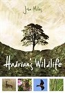 John Miles - Hadrian's Wildlife