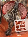 Jill Eggleton - BC NF Lime A/3C Bugs in our Homes