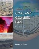 Romeo M. Flores - Coal and Coalbed Gas