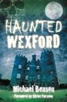 Michael Benson - Haunted Wexford