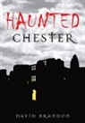 David Brandon, David Brandon - Haunted Chester