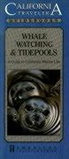 Gregory Lee, Gregory W. Lee - Whale Watching & Tidepools - A Guide to California Marine Life