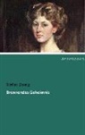 Stefan Zweig - Brennendes Geheimnis