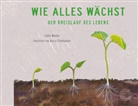 Libby Walden, Becca Stadtlander - Wie alles wächst