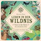 Hannah Pang, Jenny Wren - Leben in der Wildnis