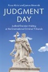 Rosa Aloisi, Rosa (Trinity University Aloisi, Rosa Meernik Aloisi, James Meernik, James (University of North Texas) Meernik, Meernik James - Judgment Day