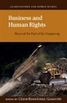Cesar Rodriguez Garavito, Cesar A. Rodriguez-Garavito, Cesar Rodriguez-Garavito, César Rodriguez-Garavito, Cesar A. Rodriguez-Garavito, Cesar A. (Universidad de los Andes Rodriguez-Garavito... - Business and Human Rights