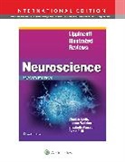 Elizabeth Akesson, Esma Dilli, John Doe, Krebs, Claudia Krebs, Joanne Weinberg... - Lippincott Illustrated Reviews: Neuroscience
