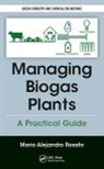 Mario Alejandro Rosato, Mario (Sustainable Technologies Alejandro Rosato, Mario (Sustainable Technologies SL Alejandro Rosato, Alejandro Rosato Mario, Mario Alejandro Rosato - Managing Biogas Plants