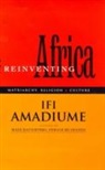 Ifi Amadiume, Professor Ifi Amadiume - Re-Inventing Africa
