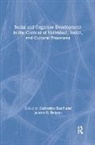 Janette Benson, Janette B. Benson, Catherine Raeff - Social and Cognitive Development in the Context of Individual, Social, and Cultural Processes