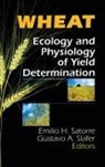 E H Satorre, E H Slafer Satorre, Emilio H. Satorre, Emilio H. Slafer Satorre, Gustavo A Slafer, Gustavo A. Slafer - Wheat
