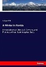 Ledyard Bill - A Winter in Florida
