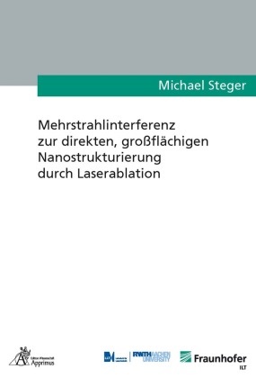 Michael Steger - Mehrstrahlinterferenz zur direkten, großflächigen Nanostrukturierung durch Laserablation