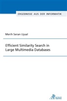 Merih Seran Uysal - Efficient Similarity Search in Large Multimedia Databases
