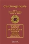 Michael P Waalkes, Michael P. Waalkes, Waalkes Michael P., Jerrold M. Ward, Ward Jerrold M. - Carcinogenesis