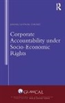 Jernej Letnar Cernic, Jernej Letnar Černič, Jernej (Graduate School of Government and Letnar, Jernej Letnar Cernic, Jernej Letnar Černič - Corporate Accountability Under Socio-Economic Rights