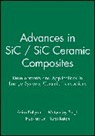 Acers (American Ceramic Society), Akira Kohyama, Kohyama, Akira Kohyama, Akira (Kyoto University) Singh Kohyama, Yutai Katoh... - Advances in Sic / Sic Ceramic Composites