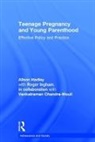 Venkatraman Chandra-Mouli, Alison Hadley, Alison (University of Bedfordshire Hadley, Hadley Alison, Roger Ingham - Teenage Pregnancy and Young Parenthood
