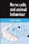 Young David Young, David Young - Nerve Cells and Animal Behaviour