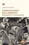 Antonio D'Alonzo - L'immaginario del labirinto. Metamorfosi e trascendenza
