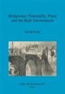 David Sivier - Bridgwater