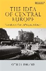 Otilia Dhand, Otilia (Teneo Intelligence) Dhand, Dhand Otilia - The Idea of Central Europe