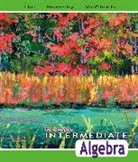 John S. Hornsby, Margaret Lial, Terry McGinnis - Intermediate Algebra