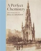 Lyden, Anne M Lyden, Anne M. Lyden - Perfect Chemistry: Photographs By Hill and Adamson