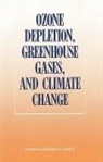 Board on Atmospheric Sciences &amp; Climate, Board on Atmospheric Sciences and Climate, Mathematics Commission on Physical Sciences, Commission On Physical Sciences Mathemat, Commission on Physical Sciences Mathematics and Applications, Committee on Global Change... - Ozone Depletion, Greenhouse Gases, and Climate Change
