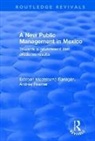 Esteban Moctezuma Barragan, Esteban Moctezuma Roemer Barragan, Esteban Moctezuma Barragán, Andrés Roemer - New Public Management in Mexico