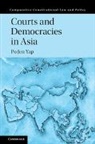Po Jen Yap, Po Jen (The University of Hong Kong) Yap, Yap Po Jen - Courts and Democracies in Asia