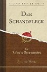 Ludwig Anzengruber - Der Schandfleck (Classic Reprint)