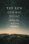 John F. Haught, Haught John F. - The New Cosmic Story