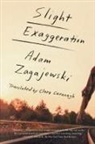 Adam Zagajewski, Adam/ Cavanagh Zagajewski - Slight Exaggeration
