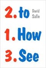 David Salle, Salle David - How to See