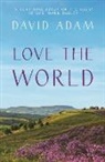 David Adam, Adam David - Love the World