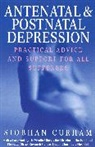 Siobhan Curham, Curham Siobhan - Antenatal And Postnatal Depression