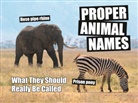 Spike Hudson - Proper Animal Names