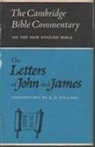 Williams Raymond Brady Williams, Raymond Brady Williams - Letters of John and James