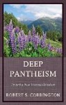 Robert S. Corrington - Deep Pantheism