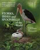James Hancock, James A. Hancock, James A Hancock, M Philip Kahl, M. Philip Kahl, James A. Kushan... - Storks, Ibises and Spoonbills of the World