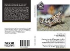 Ahme Ahmed, Ahmed Ahmed, Amna Hammed, El Saye Mohamed, El Sayed Mohamed - Assessment of Damage by the Tree Locust (Anacridium melanorhodon melanorhodon)