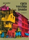 Gian Pacher - Cara vecchia Trento