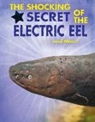 Ana Marfa Rodrfguez, Ana Maria Rodriguez - The Shocking Secret of the Electric Eel... and More!